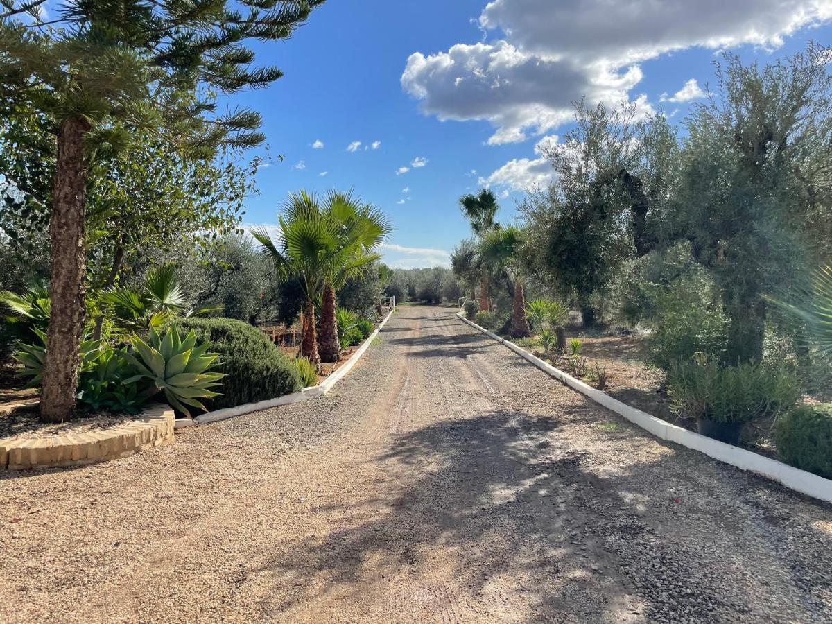El Paraiso Del Olivar Bollullos de la Mitación Exterior foto